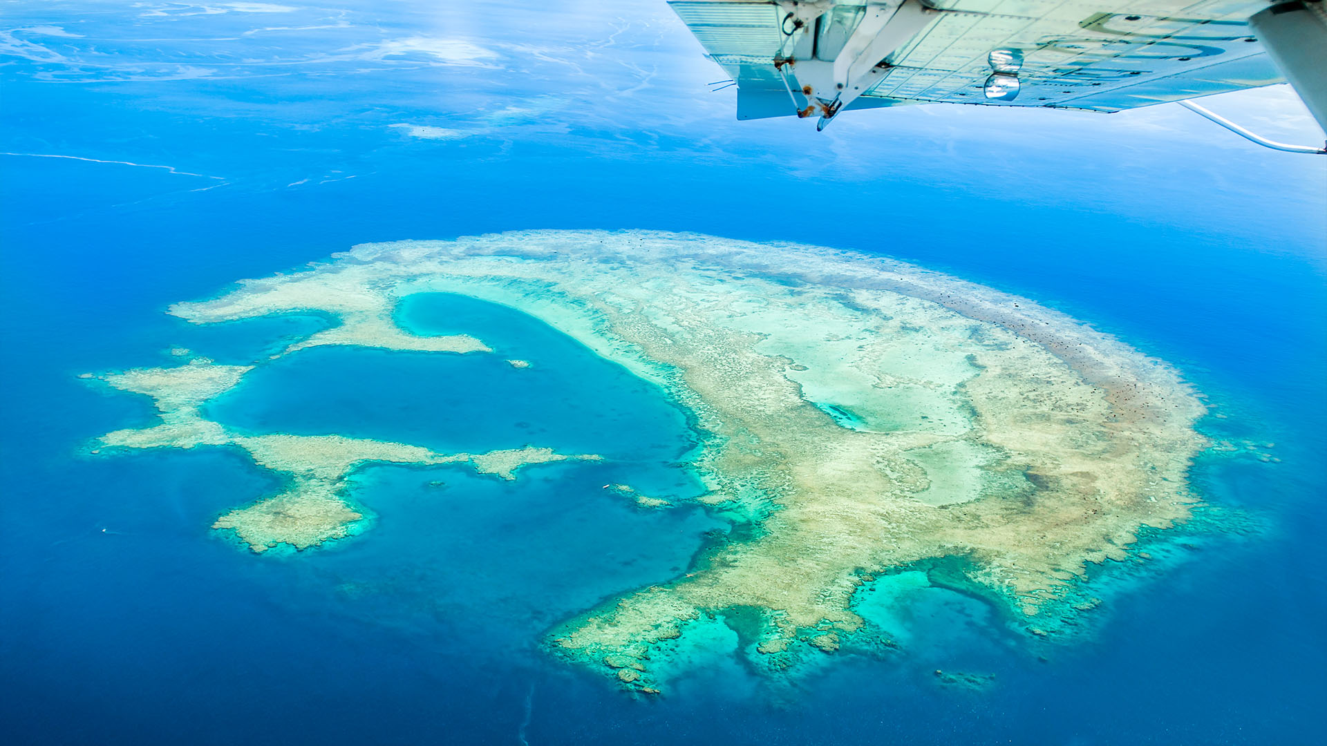 Count Down FarerFiji